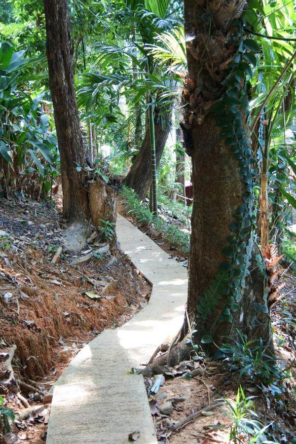 Nice View Bungalow Koh Chang Ranong Exterior foto