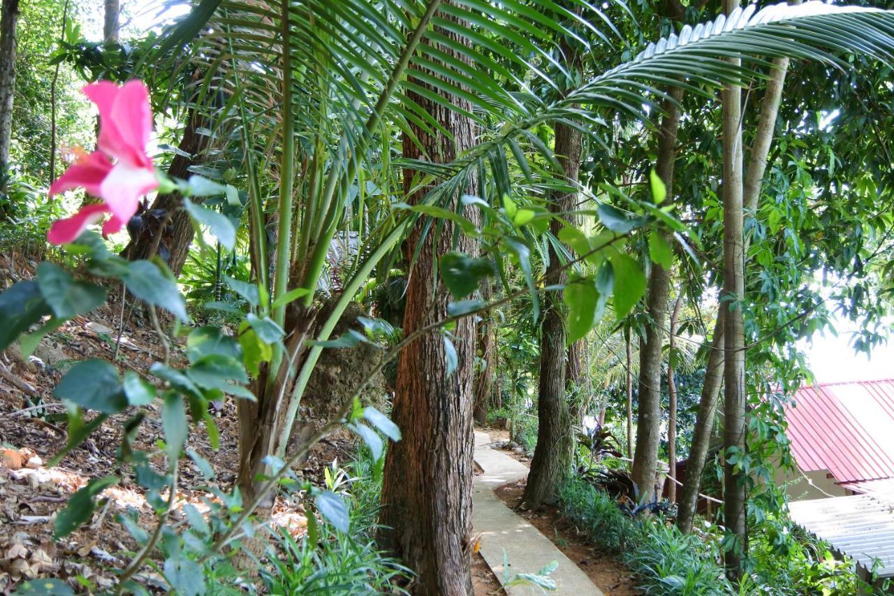 Nice View Bungalow Koh Chang Ranong Exterior foto