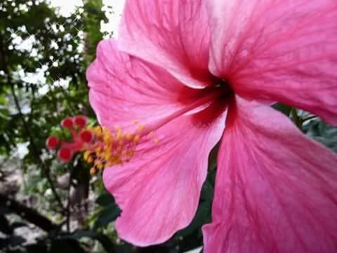 Nice View Bungalow Koh Chang Ranong Exterior foto
